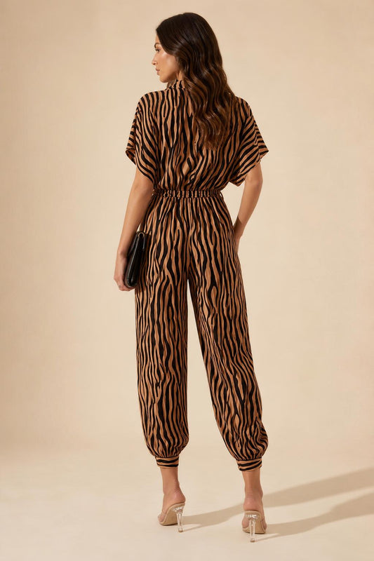Zebra espalda